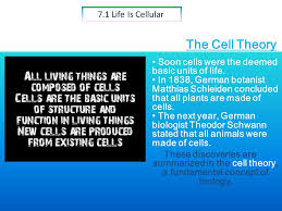 Other scientists' contributions confirmed that cells were the basic units of life. Chapter 7 Cell Structure The Discovery Of The Cell 7 1 Life Is Cellular What Is The Cell Theory All Living Things Are Made Up Of Cells Cells Are The Ppt Download