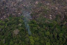 Maybe you would like to learn more about one of these? Amazon Rainforest Could Collapse Past Point Of Recovery By 2064