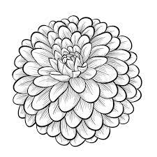 Meeting zinni the zinnia petal connection: Zinnia Coloring Pages Best Coloring Pages For Kids