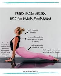 Tutoriales De Yoga On Instagram Como Hacer La Postura Del Perro Hacia Arriba O Ur Posturas De Yoga Para Principiantes Posturas De Yoga Entrenamiento De Yoga