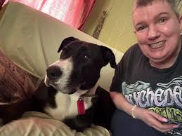 Guys does your furbabys do the same.. honestly i think this breed was put 