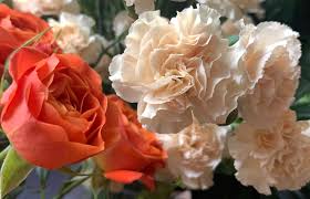 22 items in this article 6 items on sale! Bf Gets In Trouble For Ordering Valentine S Day Flowers For His Work Wife To Cheer Her Up Cafemom Com