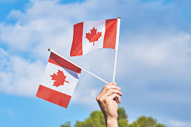 What Should I Do If My Canada Pr Card Is Expired Or About To Expire
