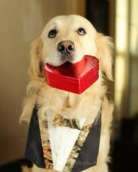 Doug Owen (@dougandhudson) · Instagram 照片和视频