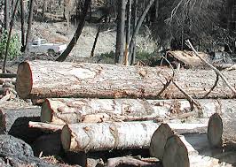 Covered bridge hit from the inside