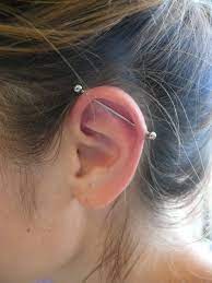 Pin By Noammgg On Pirsing Industrial Piercing Jewelry Types Of Ear Piercings Ear Piercings Industrial