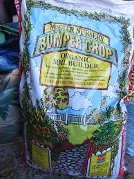 Any reasonably fertile soil can lead potting up the seedlings. 10 19 17 Fall Garden S Tricks And Treats Gardenerd