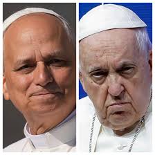 Removal of Irinej from duties in the Serbian Orthodox Church