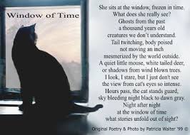 A cat has absolute emotional honesty: Window Of Time Original Poetry And Art About Cats By Patricia Walter Cat Poems Cats Cat Sympathy