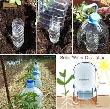 Drip Bottle Irrigation Plants Growing Vegetables Irrigation