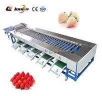 Automatic Industrial Sortor Machine Fruit Sorting Machine Blueberry Grading  Sorting Machine