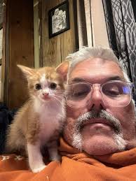 QUESTION OF THE DAY! Could you please share a photo of your pets? If you  don't have one, share a picture, GIF, or the name of a pet you'd love to  have.