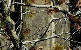 See more ideas about realtree, realtree camo, camo wallpaper. 48 Realtree Ideas Realtree Camo Wallpaper Real Tree Camouflage
