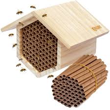 We did not find results for: 12 Mason Bee Houses That Actually Work 2021 World Birds