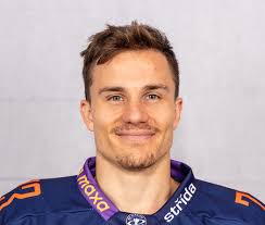 Profil hráče Jan Štibingr