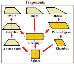 What does a trapezoid look like. What Is Trapezoid In Math Quora