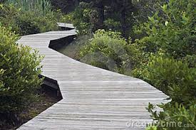 Winding Wooden Path Wooden Path Wood Pathway Terrace Design
