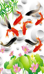 Trong văn hóa việt nam từ xưa đến nay, hình ảnh cá chép xuất hiện rất nhiều trong các dịp lễ tết như: Hinh áº£nh Hinh Ná»n Ca Chep Ä'áº¹p Mang Nhiá»u May Máº¯n