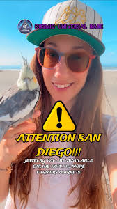 Tiki Thomas (@cosmictiki) • Instagram photos and videos