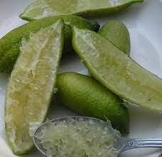 We did not find results for: Australian Finger Lime Tree Finger Lime Lime Lime Tree