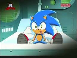 Hes pregnant with dash's little sis, shade. Sonic The Hedgehog Amy Rose Png Novocom Top
