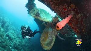 Duiken Op Bonaire Met Buddy Dive Buddy Dive Resort Bonaire