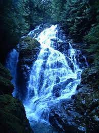 How To Hike The Big Cedar And Kennedy Falls Trail In Vancouver Happiest Outdoors Travel Lodge Outdoor Beautiful Hikes