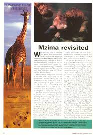 Image result for Flabellariopsis acuminata