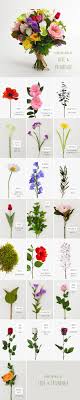 What flower signifies new beginnings. Floriography Chart Of Flowers Find Out What Your Flowers Signify Whether It S Innocence Courage Or Dignity Pull A B Flower Meanings Trendy Flowers Flowers