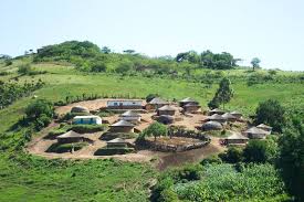 Zulu Homestead Houses For The Patriarch And His Wives And Other Relatives And A Cattle Pen In The Middle South Africa Travel Africa Village Tours
