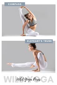 Compass And Elephant S Trunk Pose Are Only 2 Of 6 Exciting Wild Yoga Poses We Ve Put Together For You Here Yoga Poses Advanced Wild Yoga Yoga Asanas