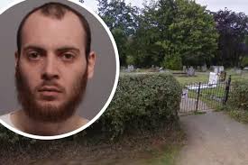 Named and shamed: 217 of the criminals dealt with by our courts in 2020 so  far