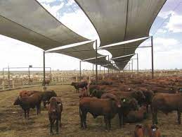 Maybe you would like to learn more about one of these? Cattle Shade Gale Pacific Commercial
