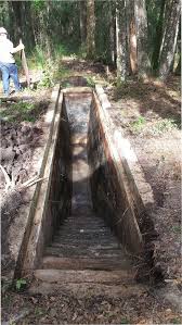 Image result for dip vat