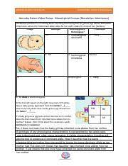 Handouts created by the amoeba sisters that correspond to amoeba sisters videos. Monohybrid Cross Worksheet Amoeba Sisters By Aleeza Mumtaz Pdf Amoeba Sisters Video Recap Monohybrid Crosses Mendelian Amoeba Sisters Video Recap Course Hero