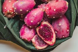 Diakui atau tidak, kaktus memang tanaman tangguh yang berhasil populer karena tingkat kepercayaan dirinya. 5 Fakta Unik Prickly Pear Buah Cantik Yang Berasal Dari Pohon Kaktus