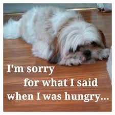 Sorry For What I Said When I Was Hungry Meme Shih Tzu Affectionate And Playful Shih Tzu Shih Tzu Dog Shih Tzu Puppy