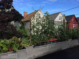 This tutorial explains how to build an s.i.p. Set Up A Self Watering Raised Bed Premade And Diy Options