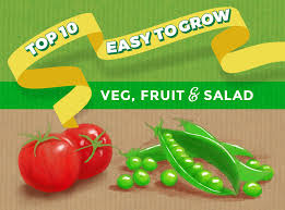 It can also help to reduce losses due. Top 10 Easy To Grow Vegetable Plants Thompson Morgan