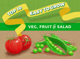 Follow these tips and tricks for growing gorgeous vegetables, flowers, and plants. Top 10 Easy To Grow Vegetable Plants Thompson Morgan