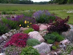 Great Mix Of Foliage And Flowers Garten Steingarten Steingarten Anlegen