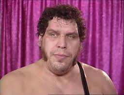 Randy Savage vs Andre The Giant