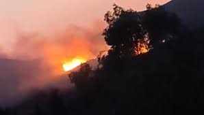 Muğla'nın milas ilçesi meşelik mahallesi'nde dün çıkan ve rüzgarın da etkisiyle bodrum'un güvercinlik mahallesi'ne sıçrayan orman yangını kontrol altına alındı. 6e8vxqopejgxom