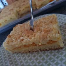 Das backblech einfetten und den teig darauf dünn ausrollen. Veganer Quark Mandarinen Blechkuchen Mit Streuseln Vegan Und Munter