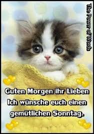Guten Morgen Sonntag Lustige Bilder Gb Bilder Gb Pics Gastebuchbilder In 2020 Lustige Bilder Guten Morgen Guten Morgen Sonntag