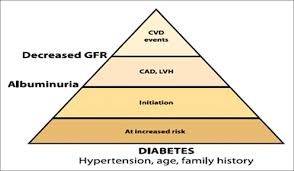 Among the diabetes complications, microvascular complications such as nephropathy, retinopathy, and cardiomy opathy. Microvasular And Macrovascular Complications In Diabetes Mellitus Distinct Or Continuum Chawla A Chawla R Jaggi S Indian J Endocr Metab