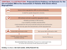 Notable among them are the vena contracta. Use Of Cardiac Magnetic Resonance Imaging In Assessing Mitral Regurgitation Current Evidence Sciencedirect