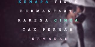 99 Kata Kata Cinta Sejati Paling Romantis Dan Bermakna