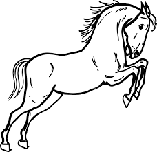 Steigerend Paard Kleurplaat