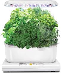 Aerogarden's seed starting trays allow you to start planting seeds indoors before moving the seedlings outside when the weather allows. Miracle Gro Aerogarden Harvest Mit Dem Gourmet Krauter Samenkit Weiss Amazon De Garten